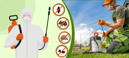 Emergency Pest Control Footscray